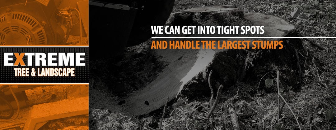 We can get into tight spots and handle the largest stumps
