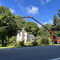 Tree Removal using Knuckle Boom Crane with Grapple Saw