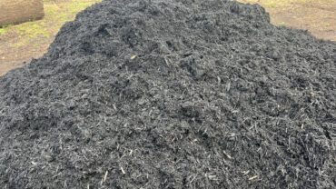 Black Mulch Natural Mulch Sample